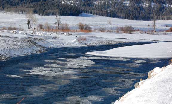 Yellowstone NP river flowing in winter