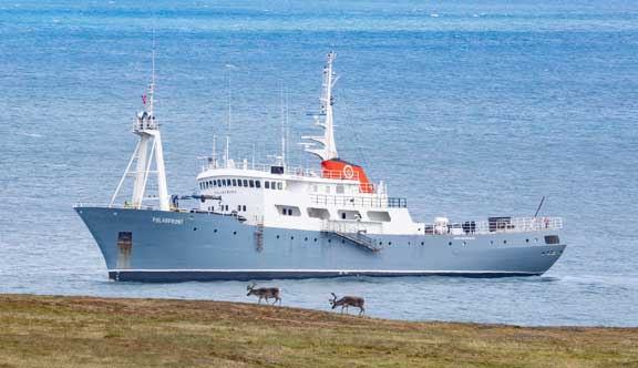 Reindeer in front to ship.