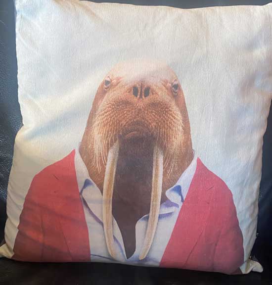 Walrus face on a pillow