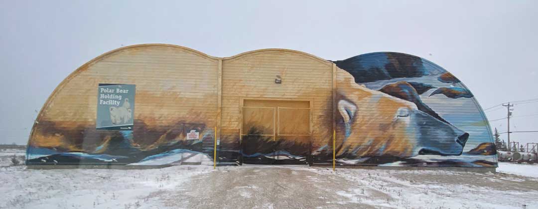 Outside of polar bear jail.