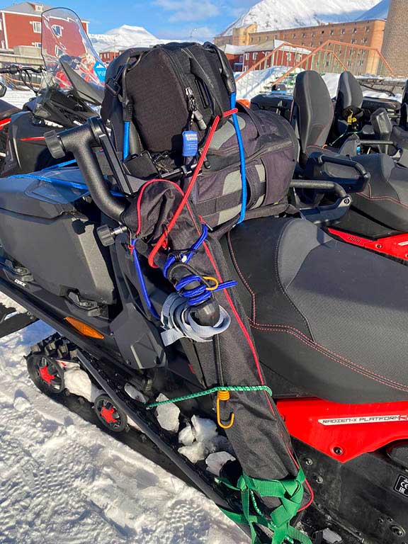 Polar bear snowmobile trip