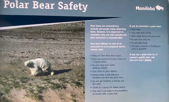 Polar bear facts from a sign in Churchill.