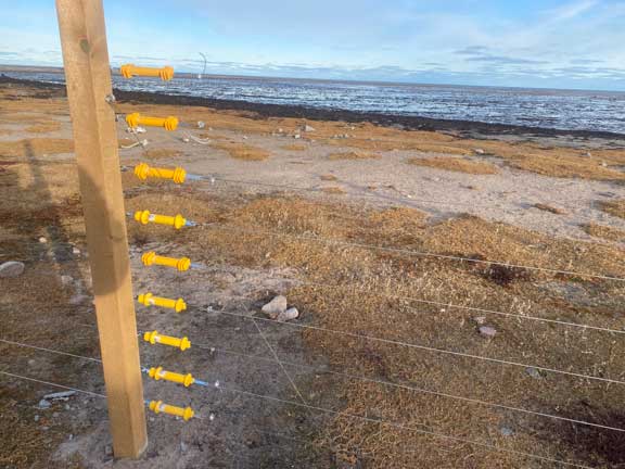 Electric fence at camp