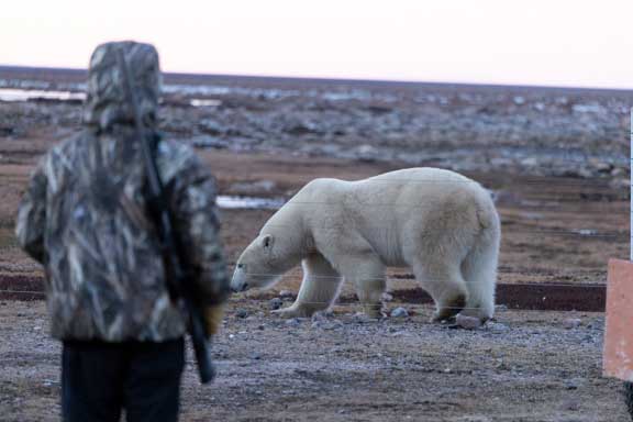 Guide with bear in background