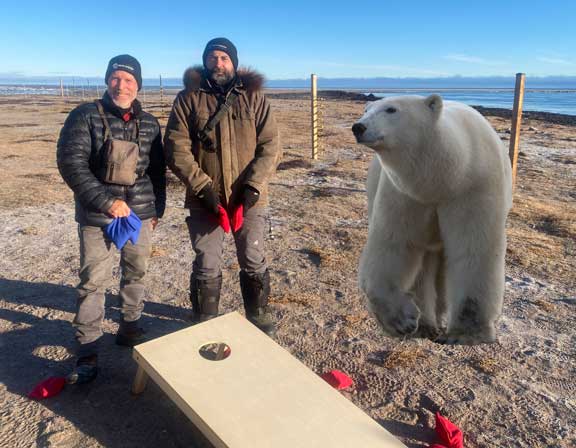 Guides playing corn hole with polar bear watching