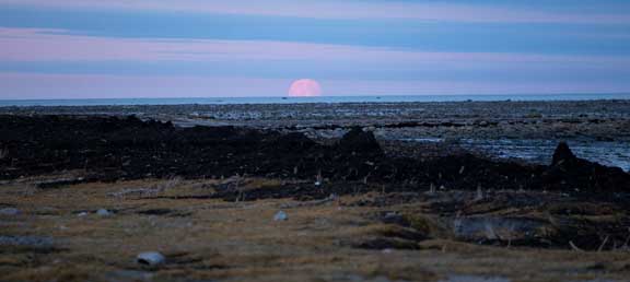 Hudson Bay moonrise.