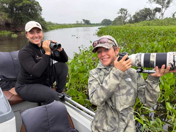 Jaguar guides
