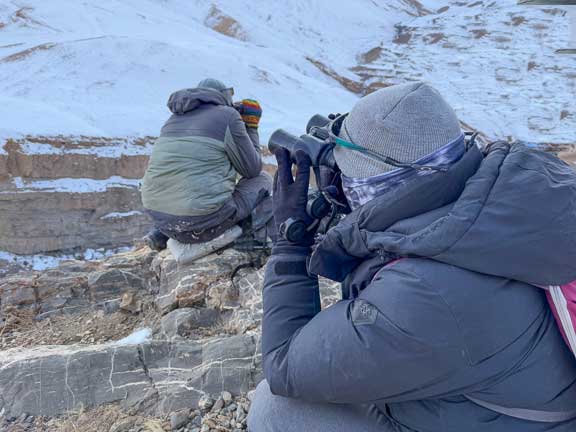 Spotters scanning for snow leopards in the early morning light
