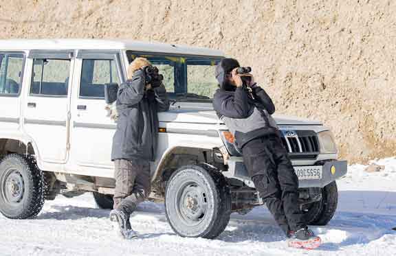 Guides scanning for snow leopards with binoculars